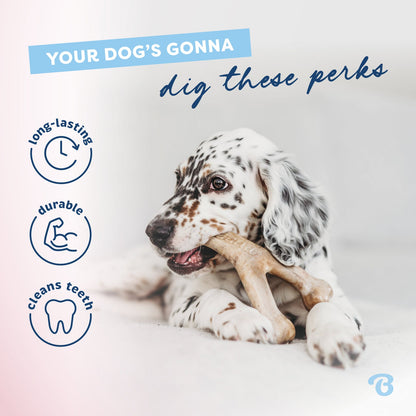 Benebone – Bacon Puppy Wishbone