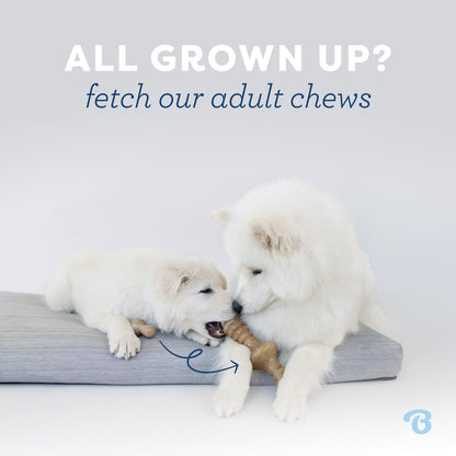 Benebone – Bacon Puppy Wishbone