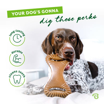Benebone – Bacon Dental Chew