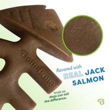 Benebone – Jack Salmon Fishbone