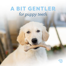 Benebone – Bacon Puppy Wishbone