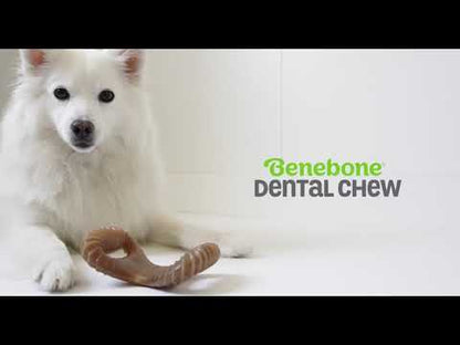 Benebone – Bacon Dental Chew