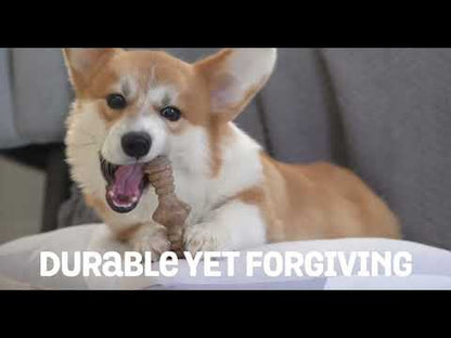 Benebone – Bacon Puppy Wishbone